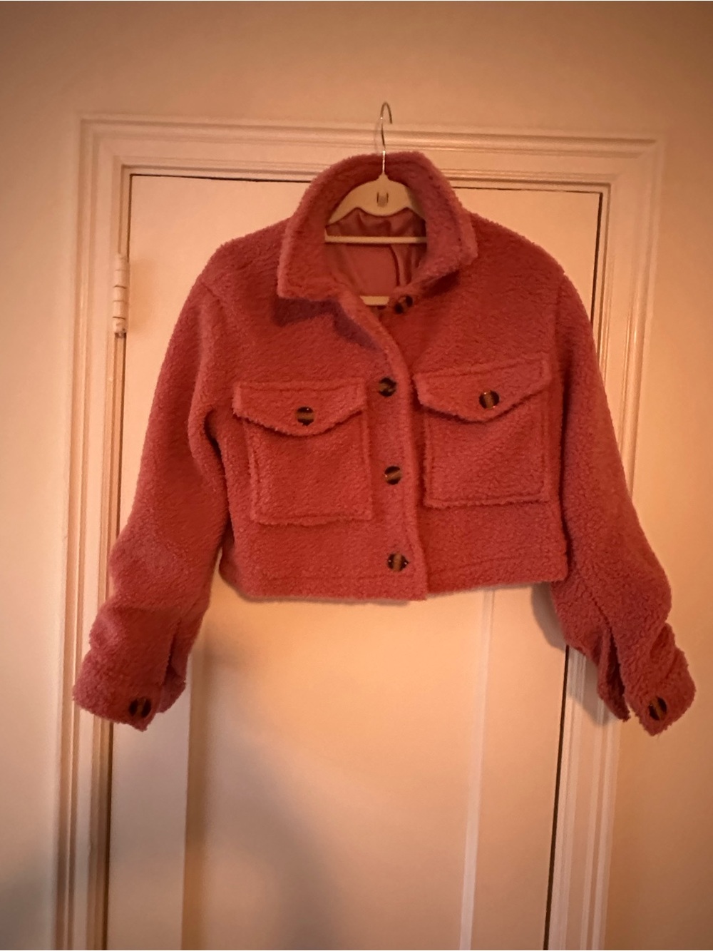 Cropped Teddy Jacket in Dusty Rose